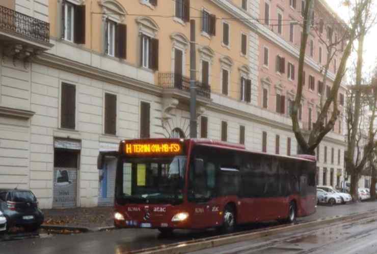 Bus